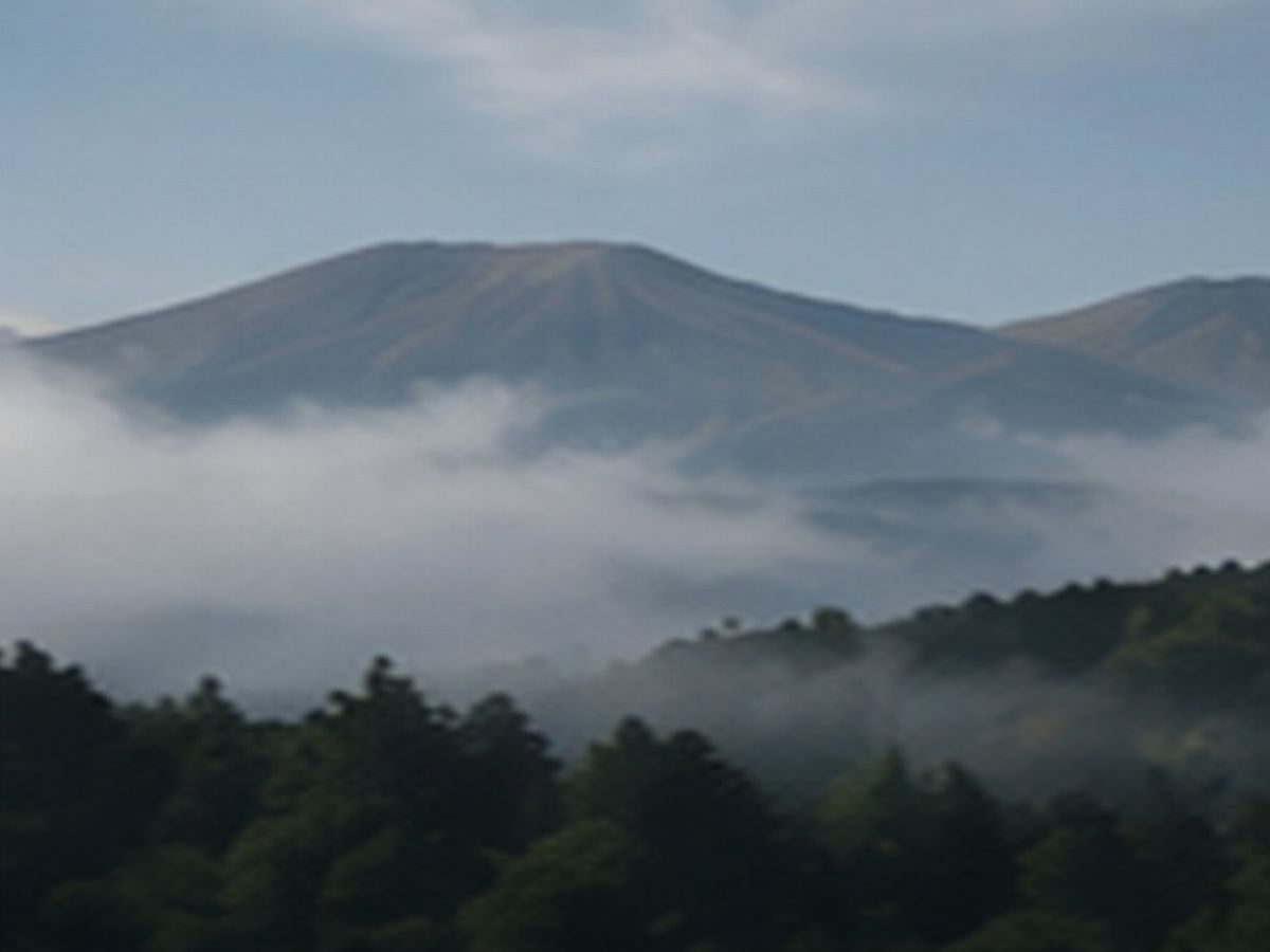 SO・WA・RI gallery image 7