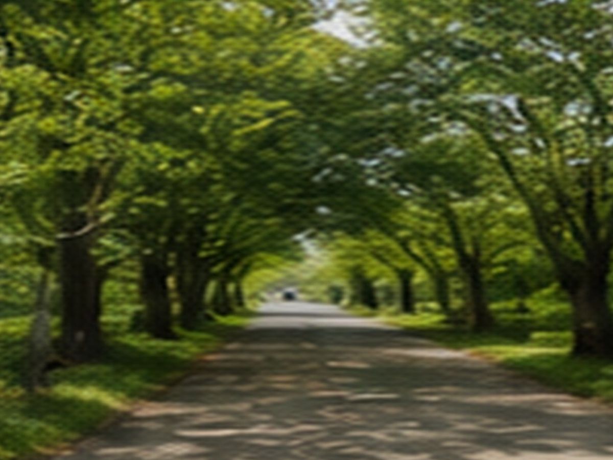 SO・WA・RI gallery image 8